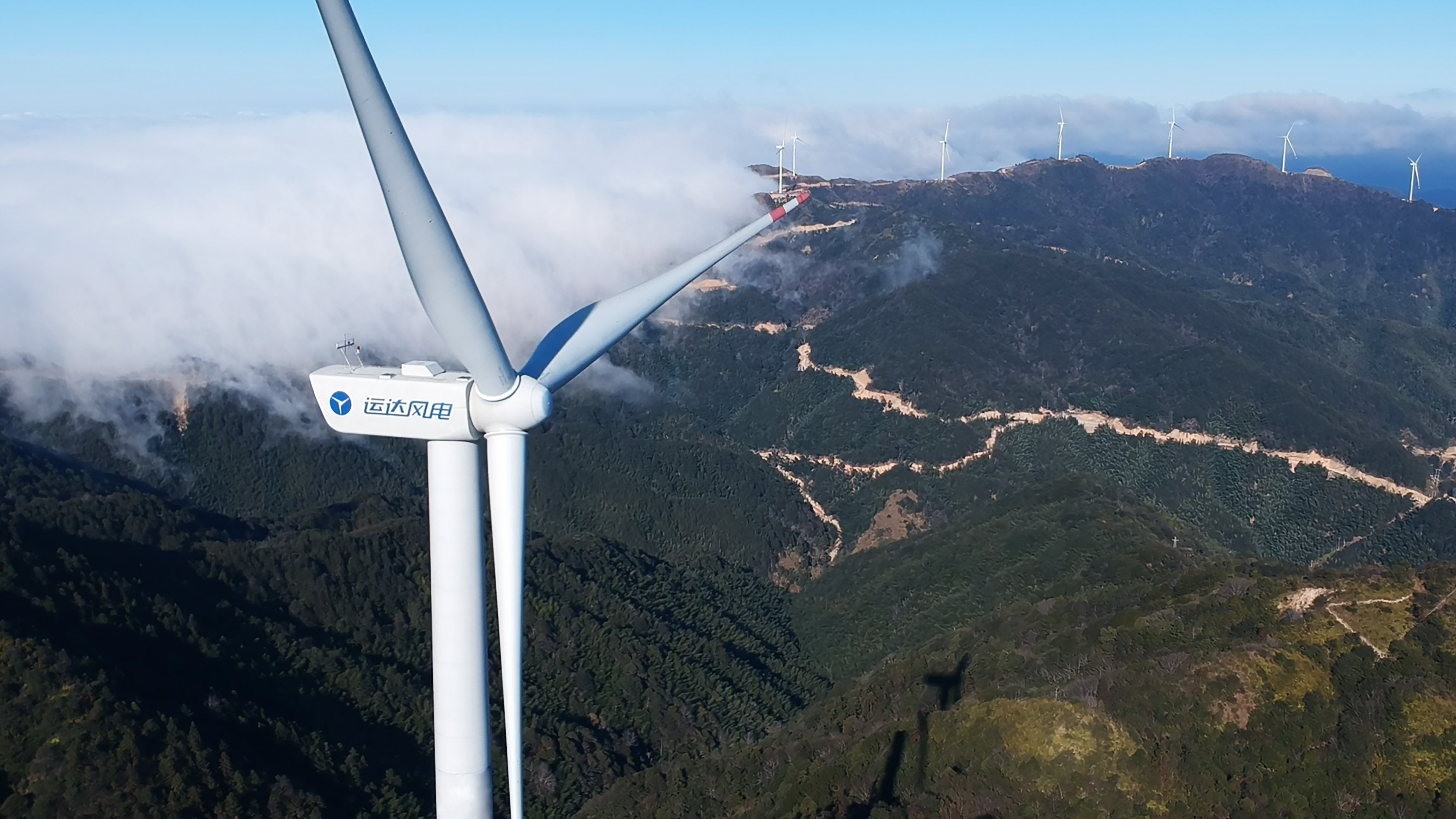 Z6尊龙凯时股份荣获2021年浙江省人民政府质量奖