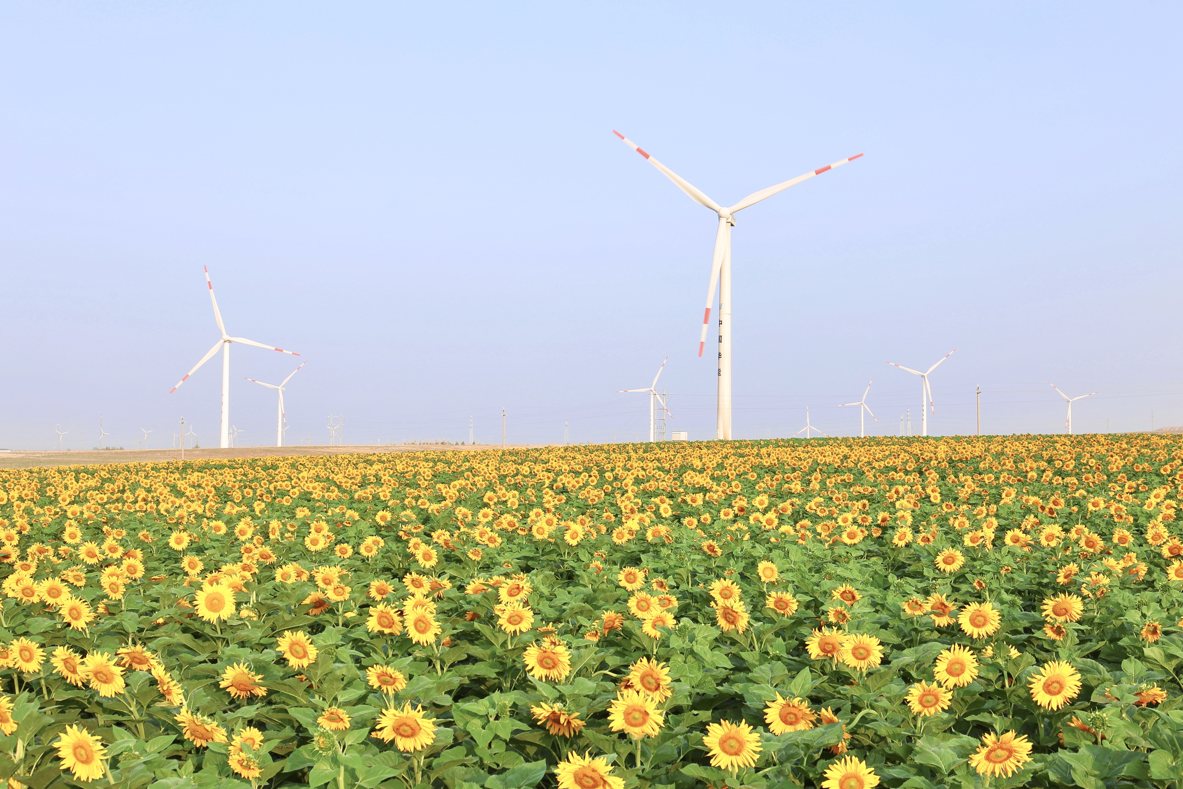 Z6尊龙凯时股份助力推动风电场控制手艺国际研发项目顺遂实验