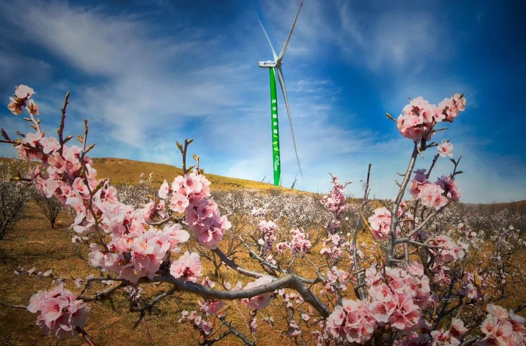 Z6·尊龙凯时「中国集团」官方网站