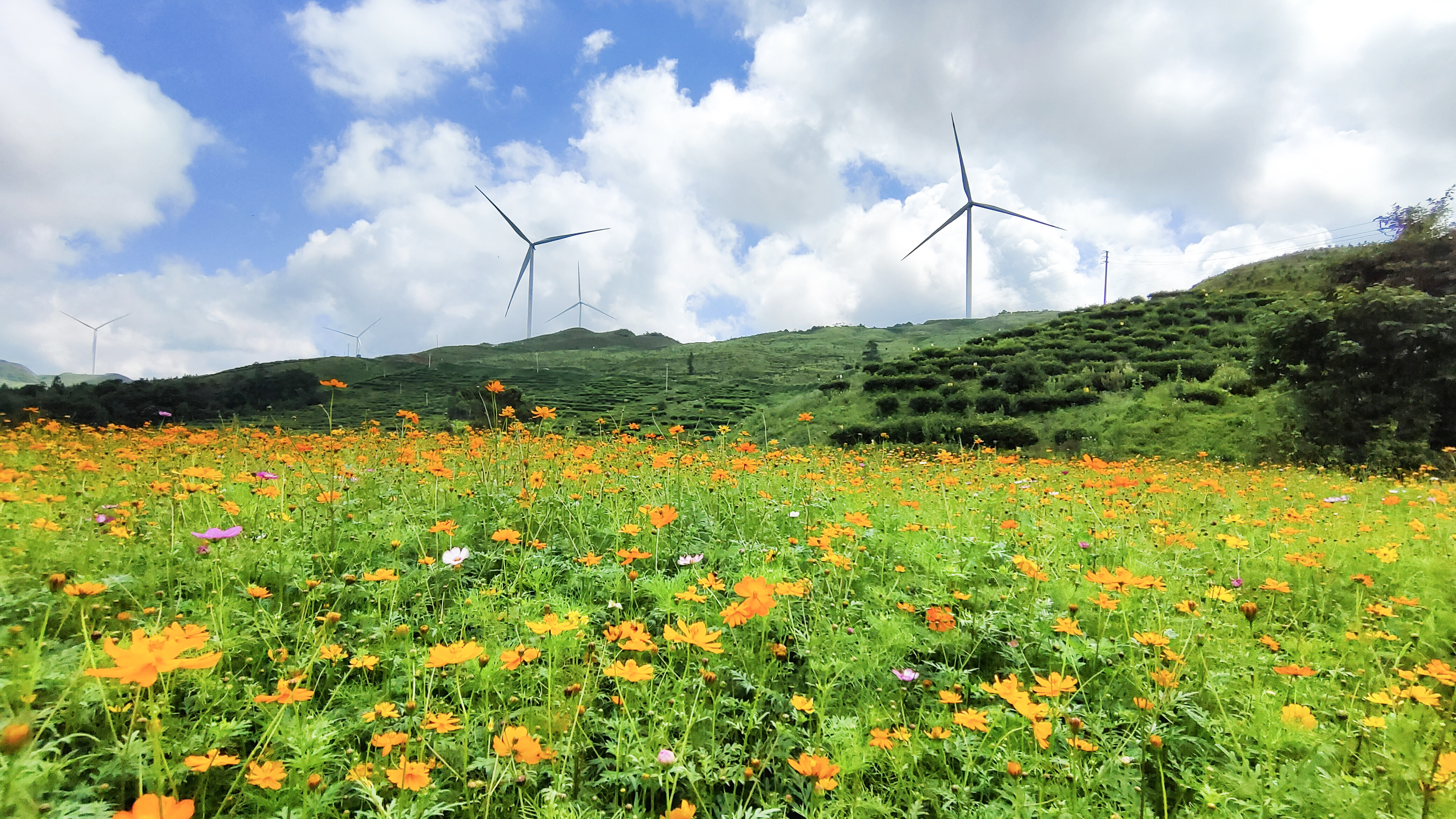 Z6·尊龙凯时「中国集团」官方网站