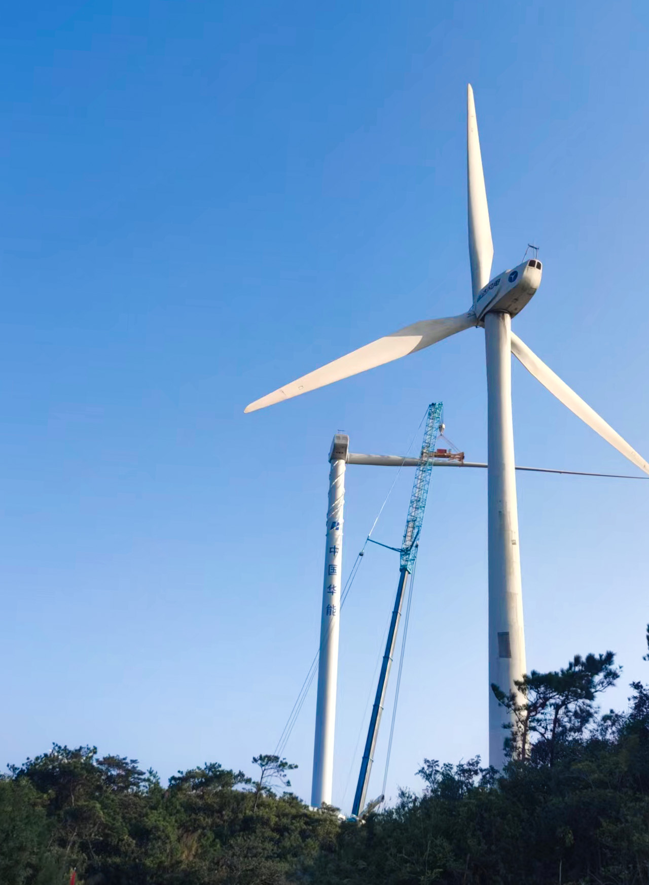 Z6·尊龙凯时「中国集团」官方网站