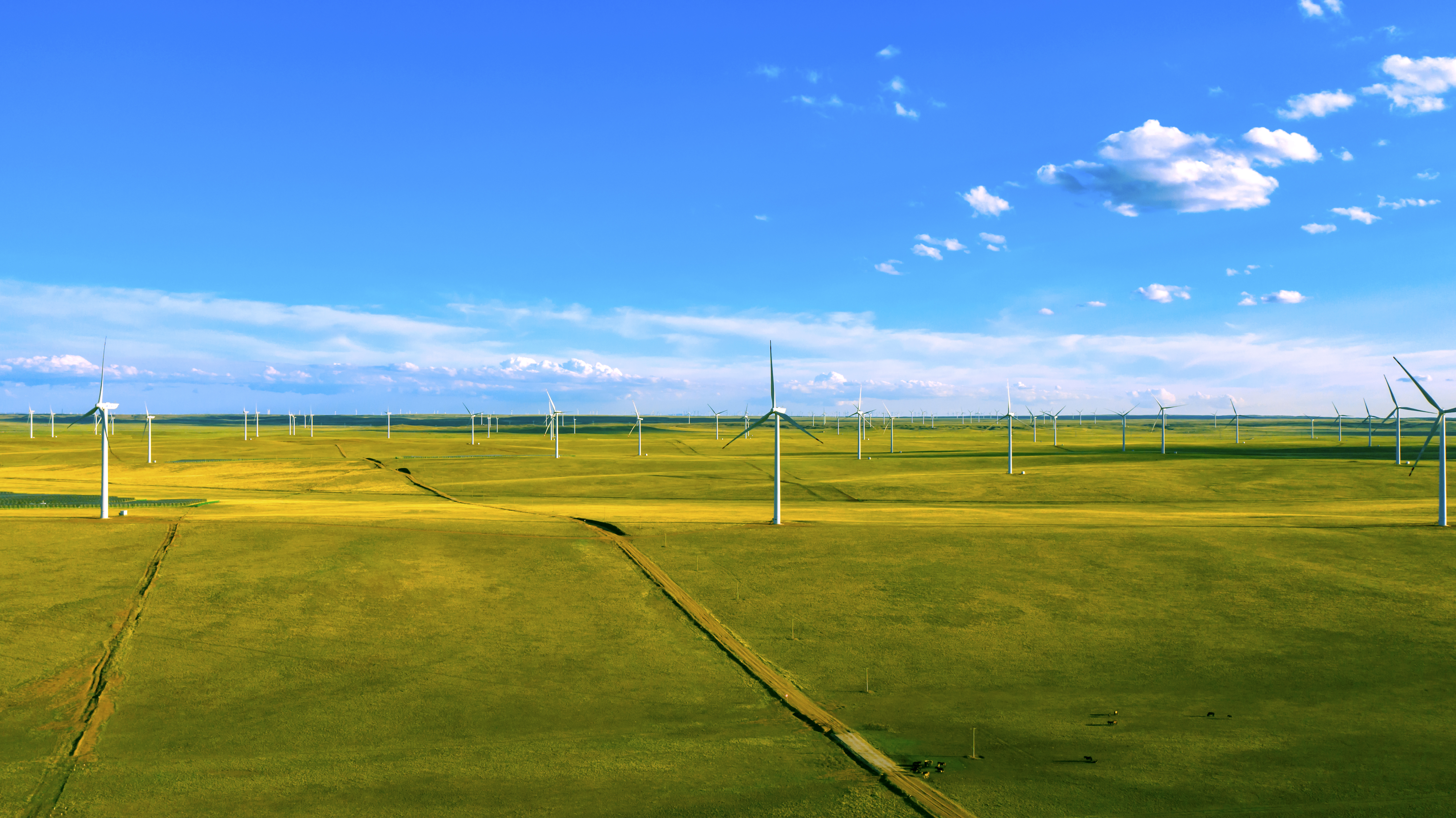 一图读懂 | Z6尊龙凯时股份2023年情形、、社会与公司治理（ESG）报告