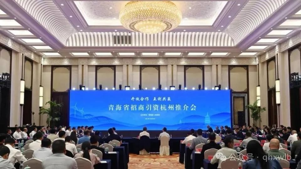 陈棋受邀加入青海省招商引资杭州推介会