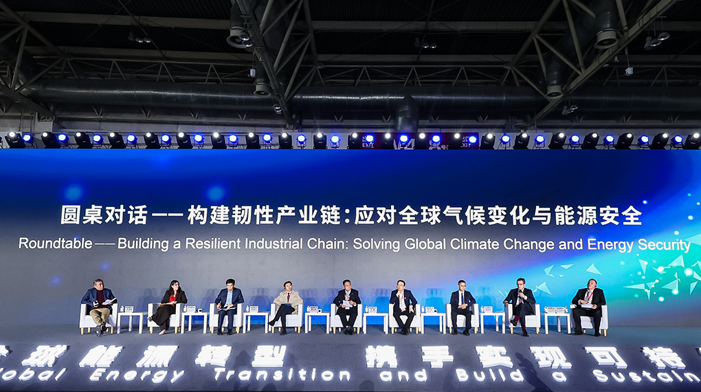 Chen Qi Participates in CWP2025 Roundtable : Charting New Pathways for Global Wind Power Collaboration