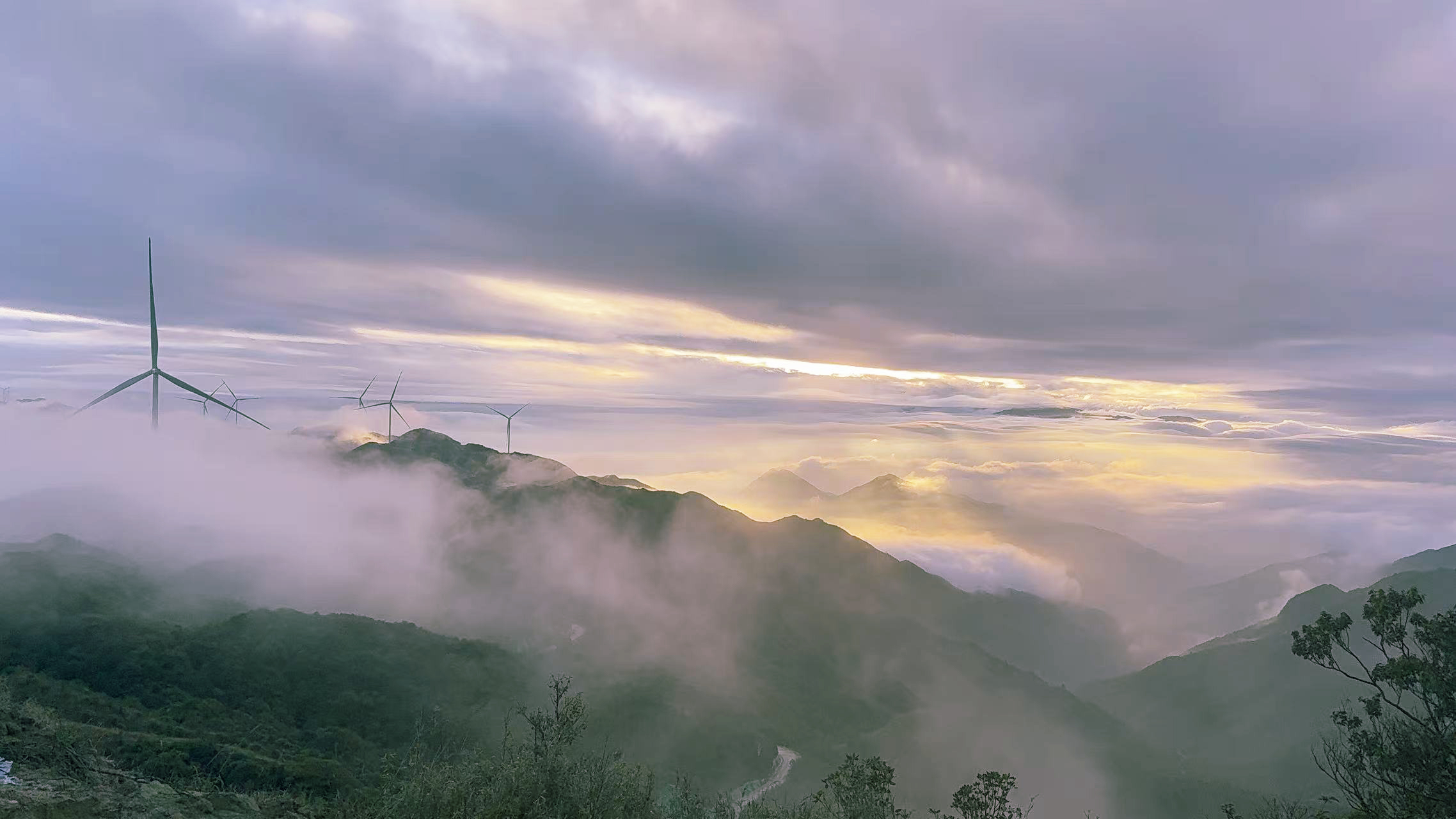 Z6·尊龙凯时「中国集团」官方网站